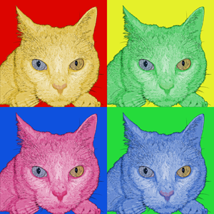 Cat Pop Art Portrait