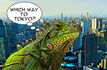 Iguana