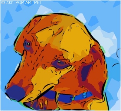 dachshund vibrant modern portrait