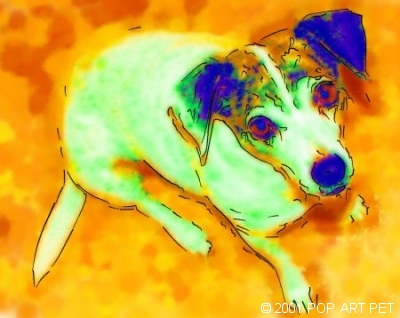 jack russell vibrant watercolor