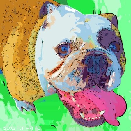 Custom Bulldog art portraits
