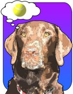 Comic style dog art portrait Labrador Retriever