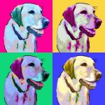 Warhol inspired pet portrait Indy