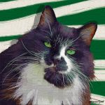 Painterly style cat art portrait