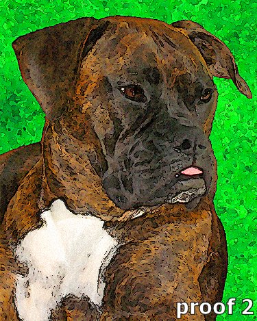 Boxer dog art