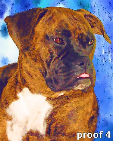 Boxer art