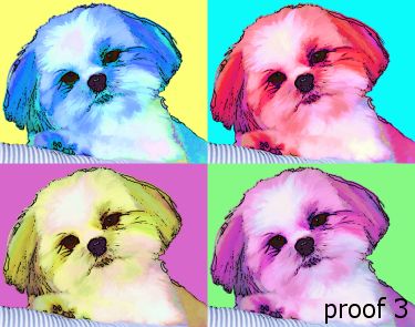 pop art pet portrait shitzu