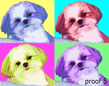 pop art pet portraits shih tzu 