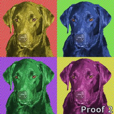 Black Labrador pop art