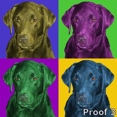 Labrador Retriever pop art portrait