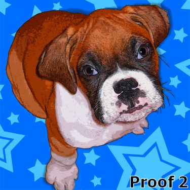 Boxer pop art