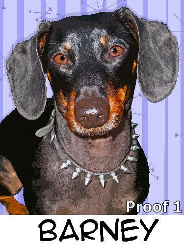 pop art pet portrait Dachshund