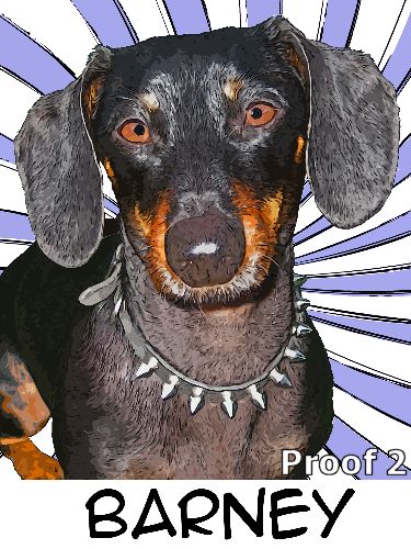 pet portrait Dachshund