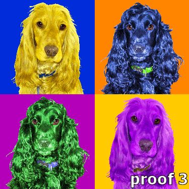 English Cocker Spaniel Portrait Art
