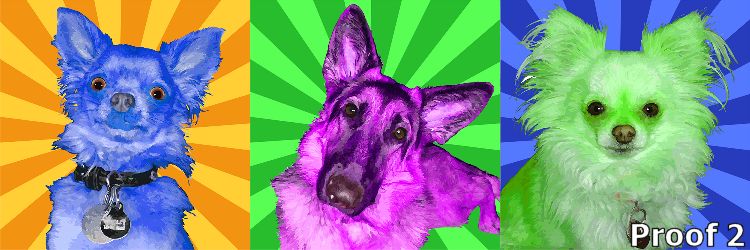 Custom Art Triptich