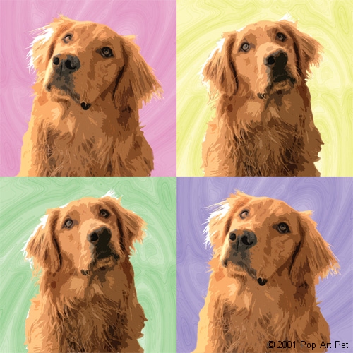 Beau the Golden Retriever