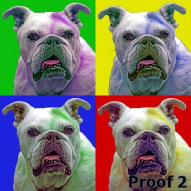 Whimsical English Bulldog art and gifts