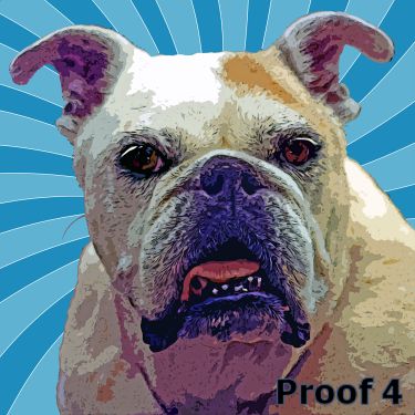 Custom English Bulldog art