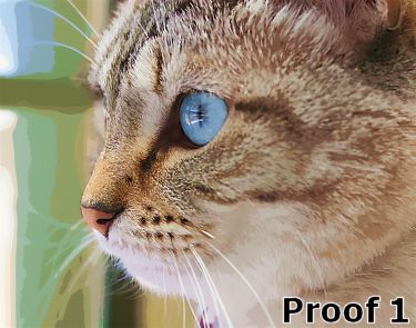 Cat Portraits