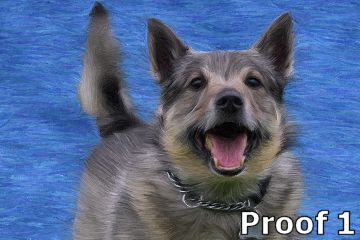 Custom Swedish Vullhund art