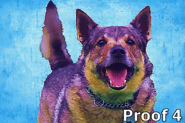 Swedish Vullhund art and gifts