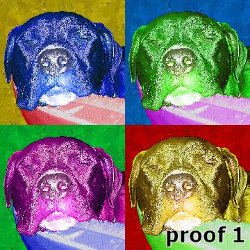 Lab custom portrait