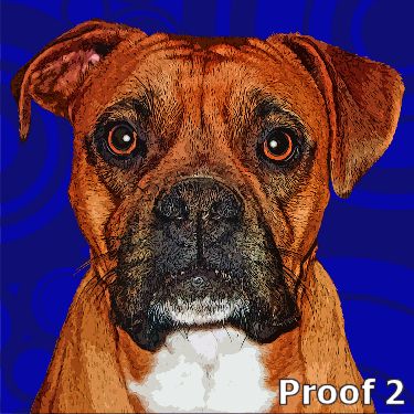 Boxer pop art