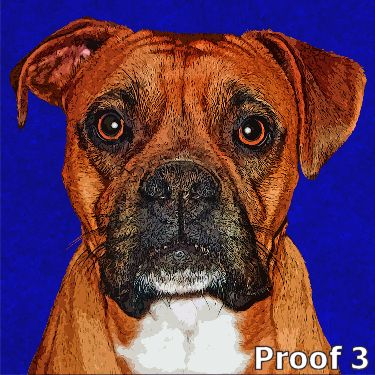Breed Specific Boxer art portrait