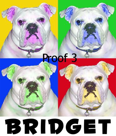 pop art pet portrait english bulldog