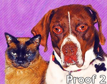 cat & dog art
