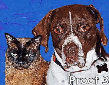 Custom dog & cat portraits
