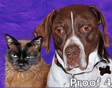 cat & dog art comission
