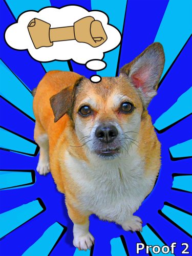 custom Welsh Corgi portrait 