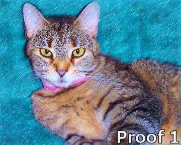 unique cat art from your photos