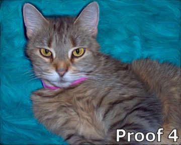 Cat art