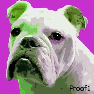 English Bulldog Art