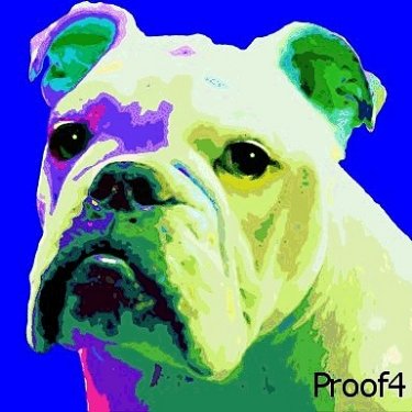 Breed specific bulldog art portraits
