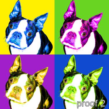 Boston Terrier Warhol Style portraits