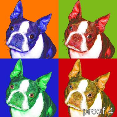 Custom Boston Terrier Gifts and art Portraits