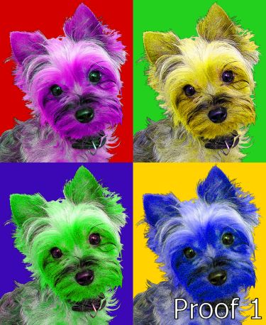 Warhol Style Yorkie Terrier art