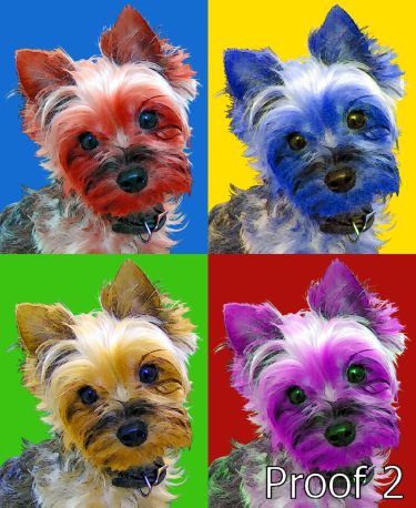 Yorkie Terrier Warhol Style portraits