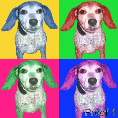 Custom Beagle Portrait Pop Art Warhol Style