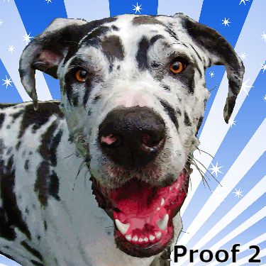 Pop style Great Dane art