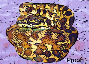 Snake portraits and art