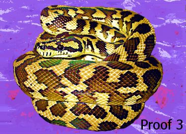 snake portraits and gifts