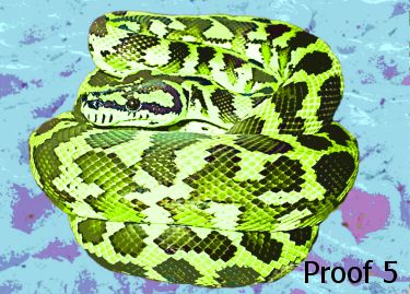portrait of a snake
