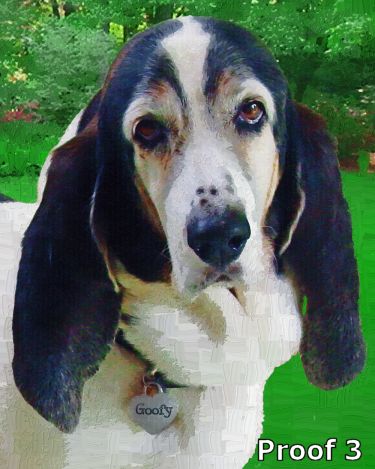 Bassett Hound portrait art and gifts