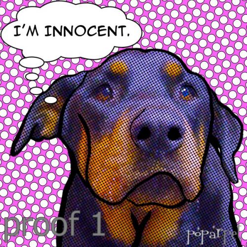 Lichtenstein from your photos custom dog art