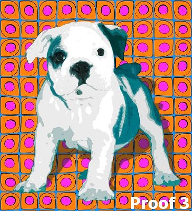 English Bulldog Pop Portrait