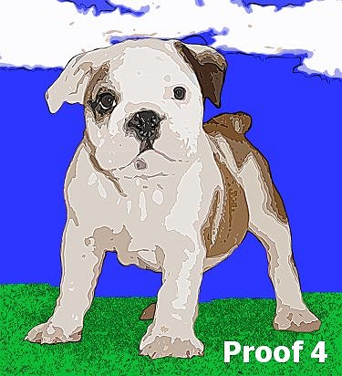 Pop Art Bulldog Portrait